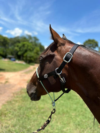 HALTERS